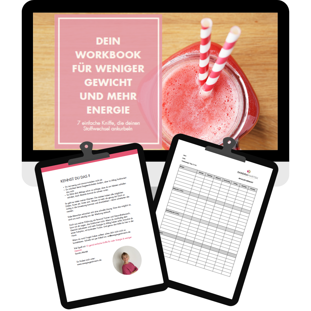 Workbook "Mehr Energie, weniger Gewicht" von Sandra Martek